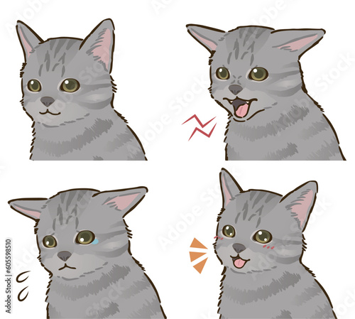 猫の喜怒哀楽セット（サバトラ、短毛）