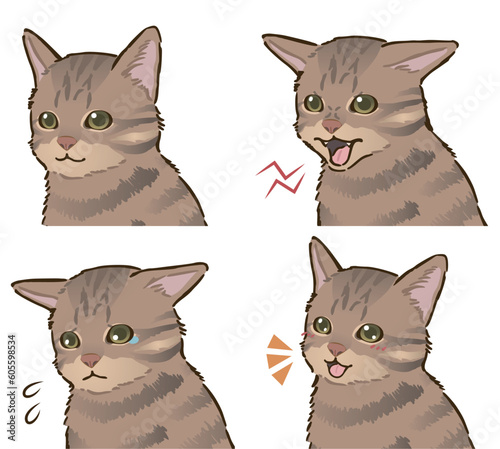 猫の喜怒哀楽セット（キジトラ、短毛）