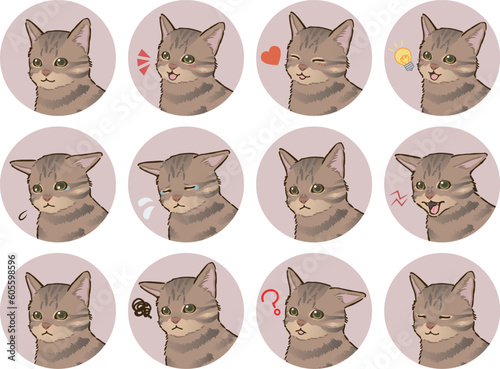 猫の表情アイコンセット（キジトラ、短毛）