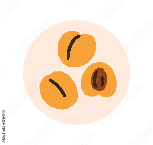 Fresh apricots on plate. Whole and cut fruit half with ripe flesh and pit. He...
