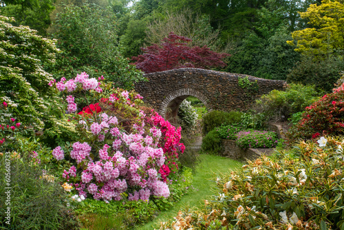 Rhododendrons in English Garden with bridge in background