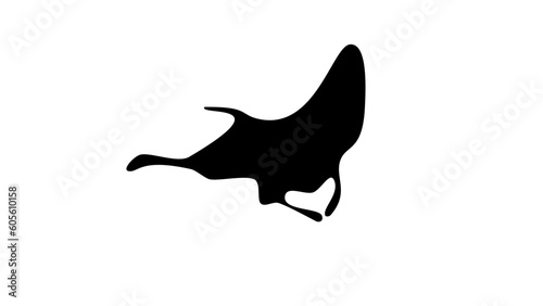 oceanic manta ray silhouette photo