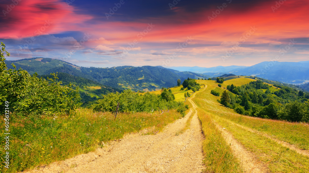path through hills and grassy meadows. mountainous summer landscape at sunset. trees along the road