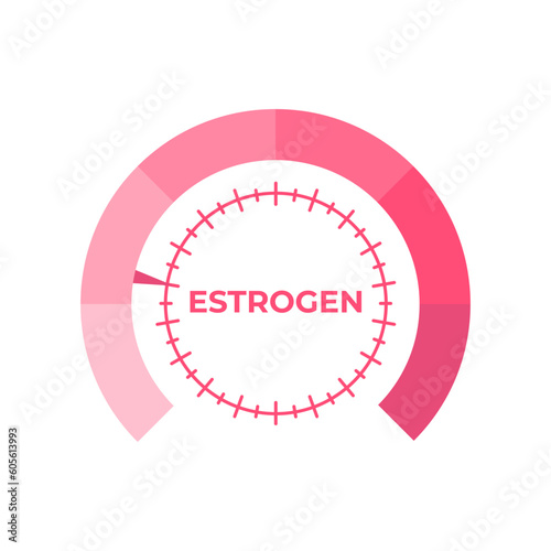 Estrogen level meter. Vector illustration.