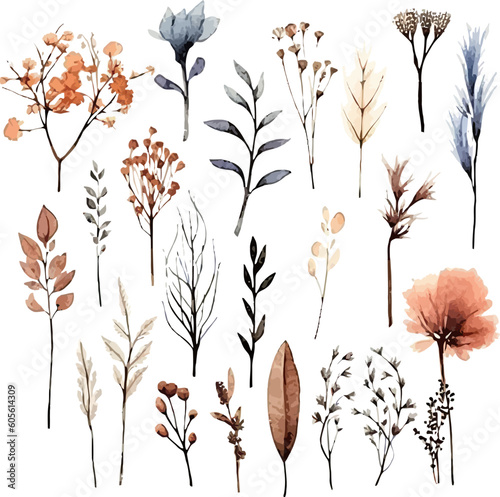 Set of dried floral watecolor. dry flower, dry leaves. Floral poster, invitation floral. Vector arrangements for greeting card or invitation design