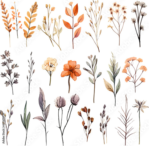 Set of dried floral watecolor. dry flower, dry leaves. Floral poster, invitation floral. Vector arrangements for greeting card or invitation design