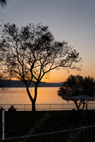 Fototapeta Silhouette of trees and people by the lake with a golden sky at sunset