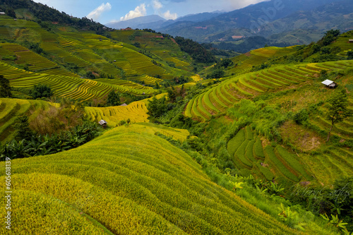 Golden ripe rice on Mu Cang Chai terraces, Yen Bai Province, Vietnam