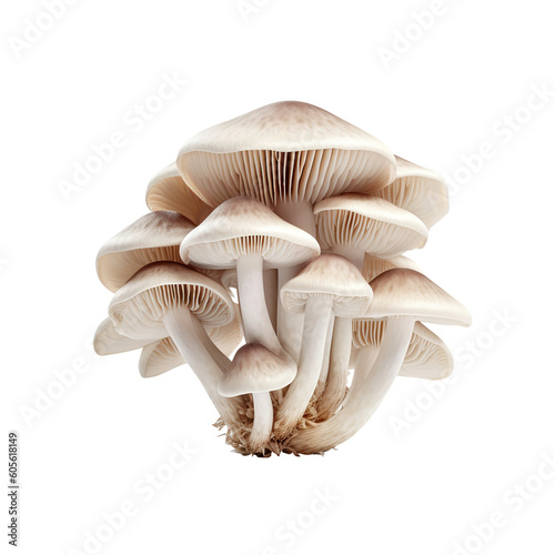 mushrooms isolated on white created with Generative AI