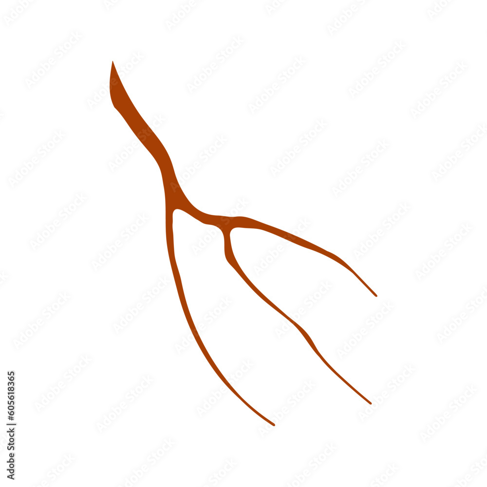 Tree branch, twig, stick illustration. Hand drawn style flat design, isolated vector. Botanical, plant element wood Tree branch, twig, stick illustration. Hand drawn style flat design, isolated vector. Botanical, plant element wood