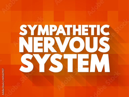 Sympathetic Nervous System - network of nerves that helps your body activate its “fight-or-flight” response, text concept background