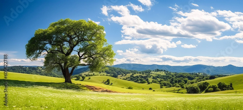 A serene green summer meadow, adorned with vibrant flowers, embraces an ancient oak tree, painting a picturesque atmospheric landscape. Ai-genereted © Infini Craft