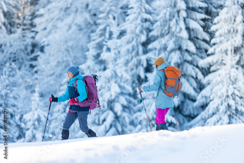 Two people in snowshoes and with backpacks on a hike. the concept of adventure and extreme recreation.
