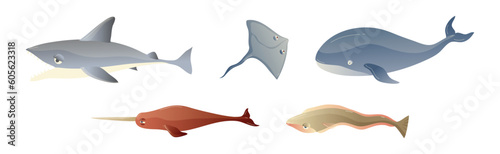 Ocean Underwater Animals with Ray, Shark, Whale, Narwhale and Reedfish Vector Set