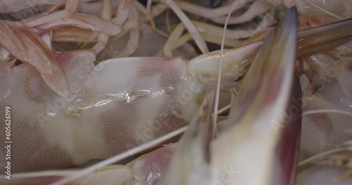 fresh prawns in box inside a village market and with laowa optics in the foreground in motion