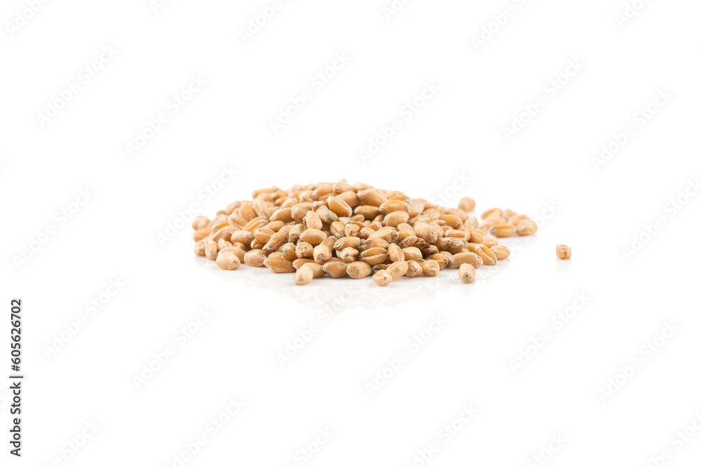 Wheat grain on white Wheat grain on white