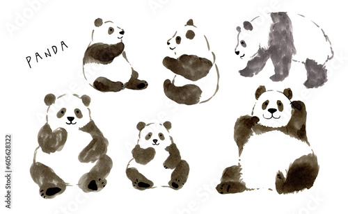 かわいい　パンダ　全身　イラスト　親子　横　正面　手書き　手描き　セット　動物　ほのぼの　のんびり　ほっこり　白背景　グラフィック素材　絵本
