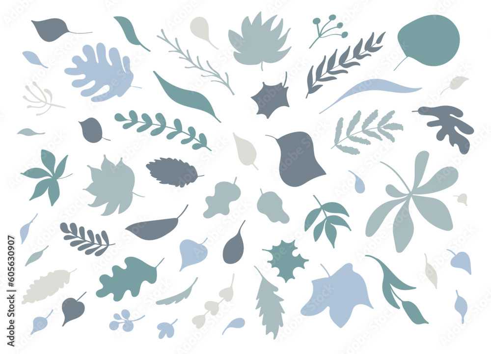 A set of leaves of different trees. Elements in a flat style, hand-drawn, pastel flowers and greenery. Silhouettes of various leaves in color. Isolated vector elements. A set of leaves of different trees. Elements in a flat style, hand-drawn, pastel flowers and greenery. Silhouettes of various leaves in color. Isolated vector elements.