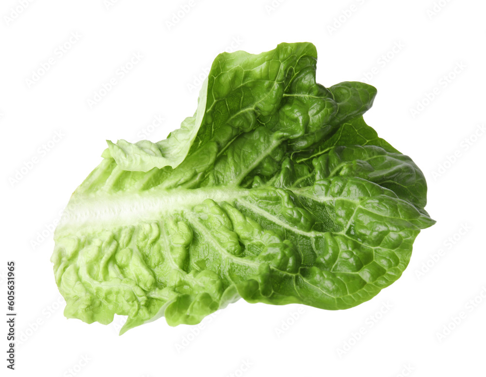 Fresh leaf of green romaine lettuce isolated on white Fresh leaf of green romaine lettuce isolated on white