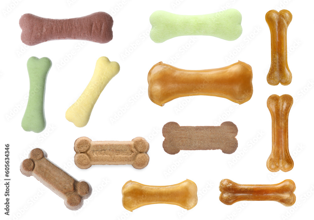 Set with different bone dog treats on white background