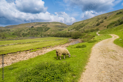 Hiking on the Pennine Journey and Coast to Coast trail near to Keld in Swaledale