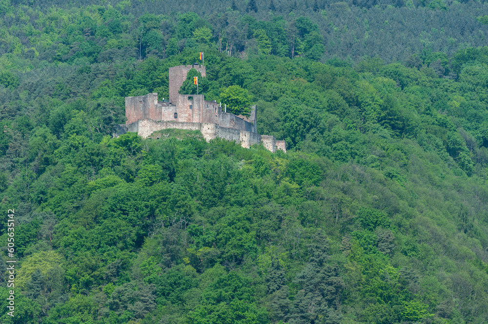 Landschaftsbild mit Burg Landeck bei Klingenmünster. Region Pfalz im Bundesland Rheinland-Pfalz in Deutschland