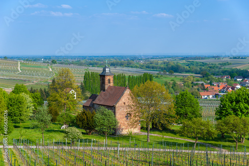 Spätromanische Nikolauskapelle in Klingenmünster, im Hintergrund die Oberrheinische Tiefebene. Region Pfalz im Bundesland Rheinland-Pfalz in Deutschland