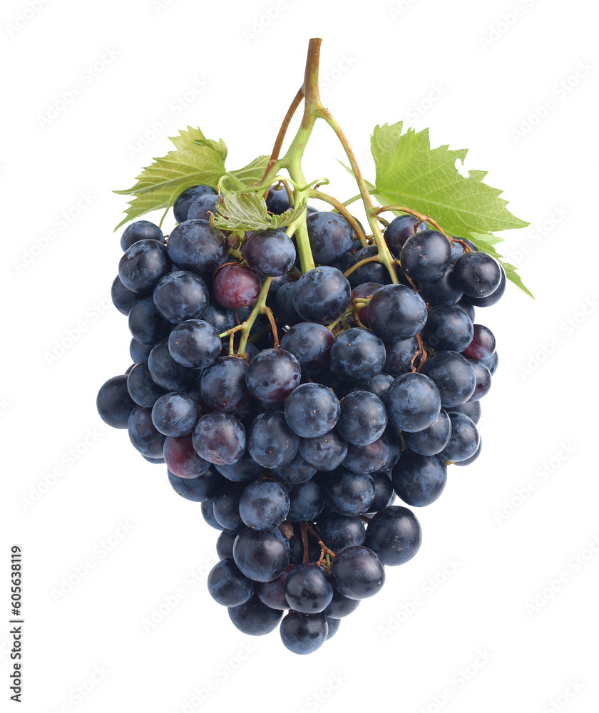 Bunch of grapes isolated on white Bunch of grapes isolated on white