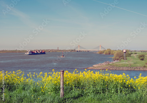 barge on river waal in the netherlands under blue sky with yellow spring flowers photo