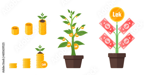 Albanian Lek Money Tree Growing