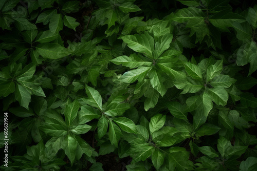Green foliage background, Generative ai