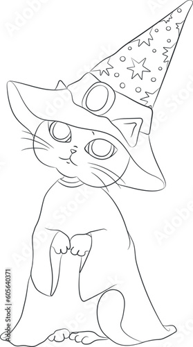 Vector hand drawn cat wizard isolated on white background. Cute cat in a hat. Art illustration for your design