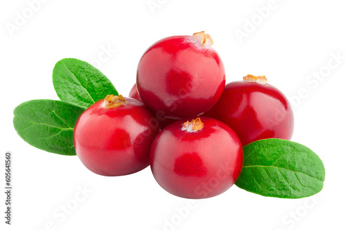 cranberry isolated on white background, full depth of field photo