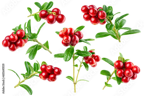 Photos cranberry, cowberry, lingonberry, isolated on white background, clipping path, f