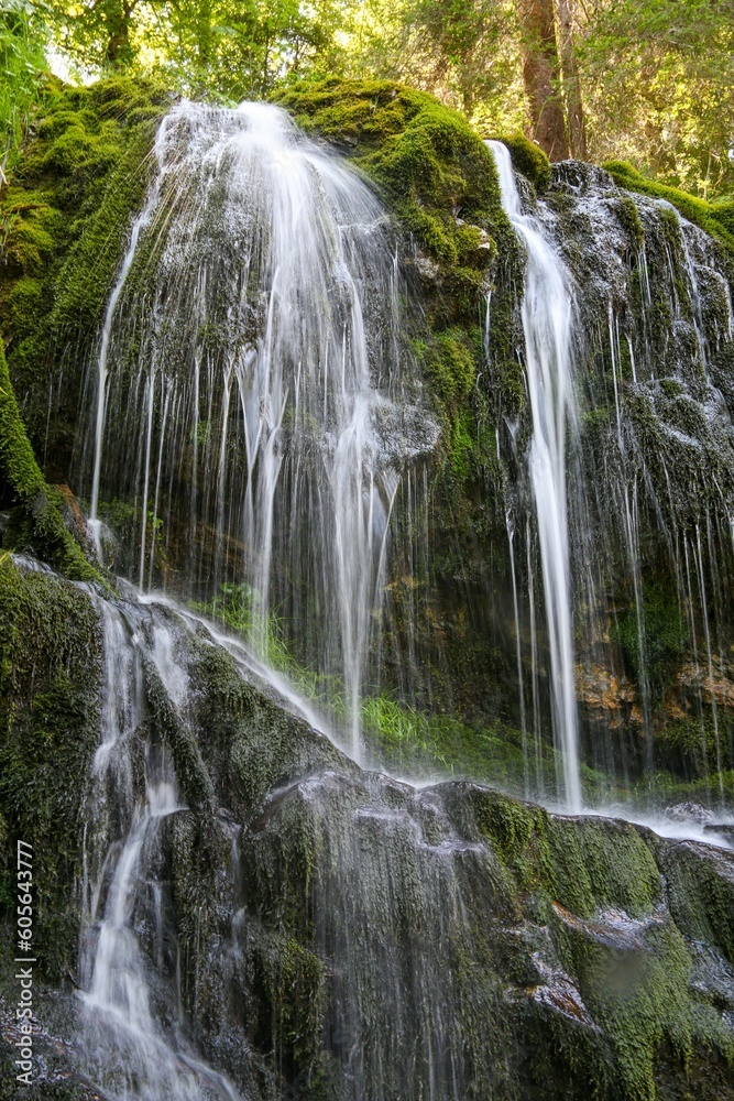 Naklejka premium Vertical shot of a waterfall in a forest covered in greenery under the sunlight