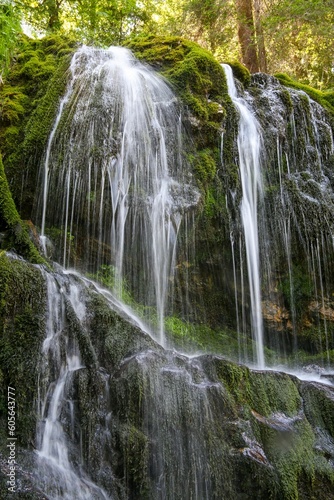 Vertical shot of a waterfall in a forest covered in greenery under the sunlight