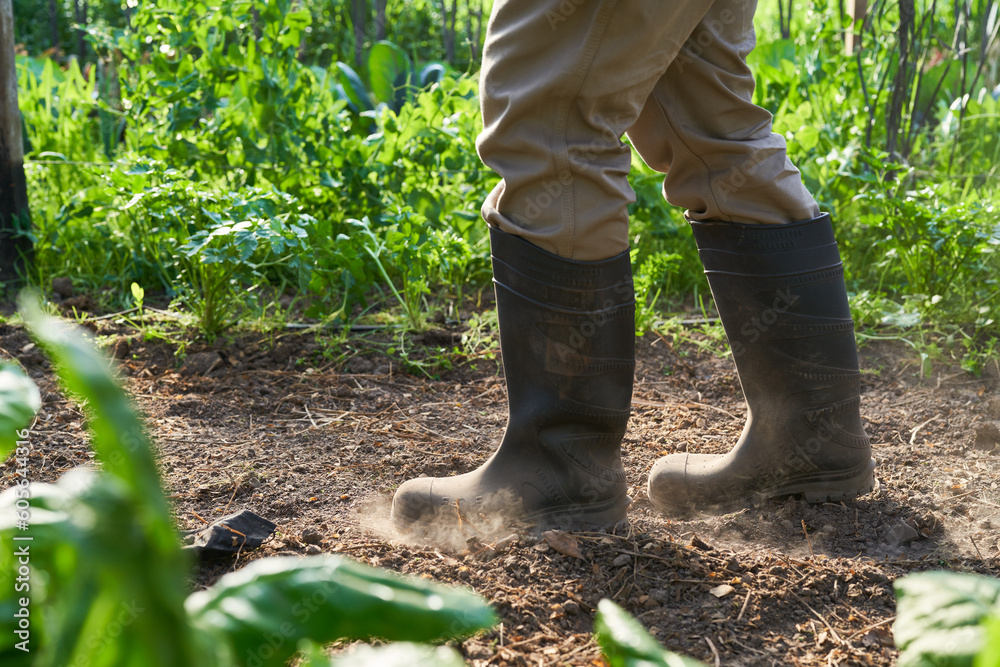 Farmer wearing rubber boots blowing soil dust - obrazy, fototapety, plakaty 