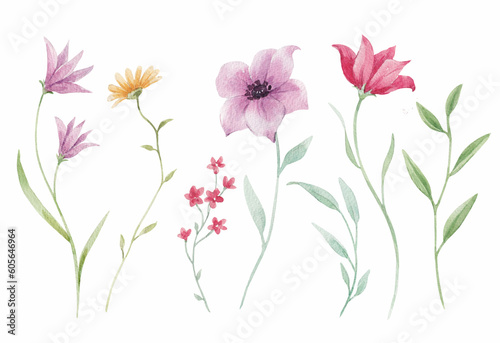 Beautiful floral stock illustration with hand drawn watercolor wild field flowers. Clip art.