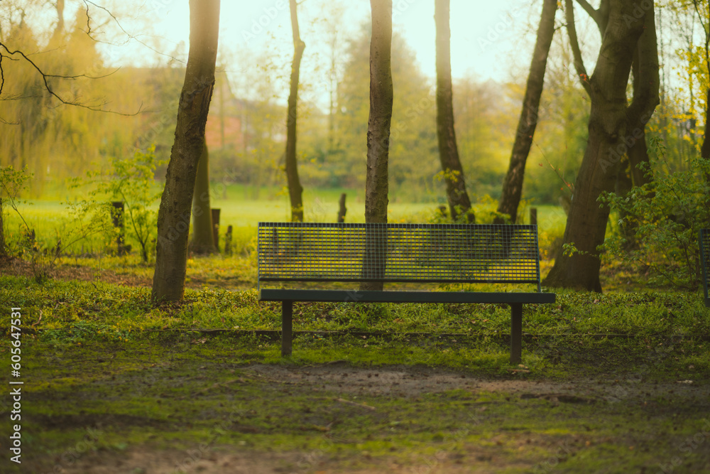 Fairytale sunset landscape empty bench in the park. Fairytale sunset landscape empty bench in the park.