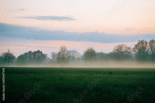 Landscape at sunset wheat field with fog