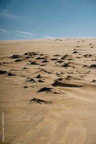 Empty scenery of a desert in Cabo Polonio  Uruguay