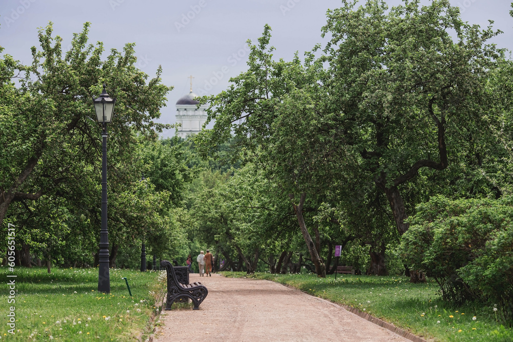 A spring apple orchard and benches in Kolomenskoye Park in the background is the dome of the Church of St. George the Victorious. Beautiful natural green background.