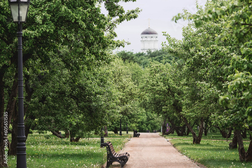 Photography A spring apple orchard and benches in Kolomenskoye Park in the background is the dome of the Church of St
