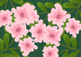 Vector illustration of the pink flowers pattern