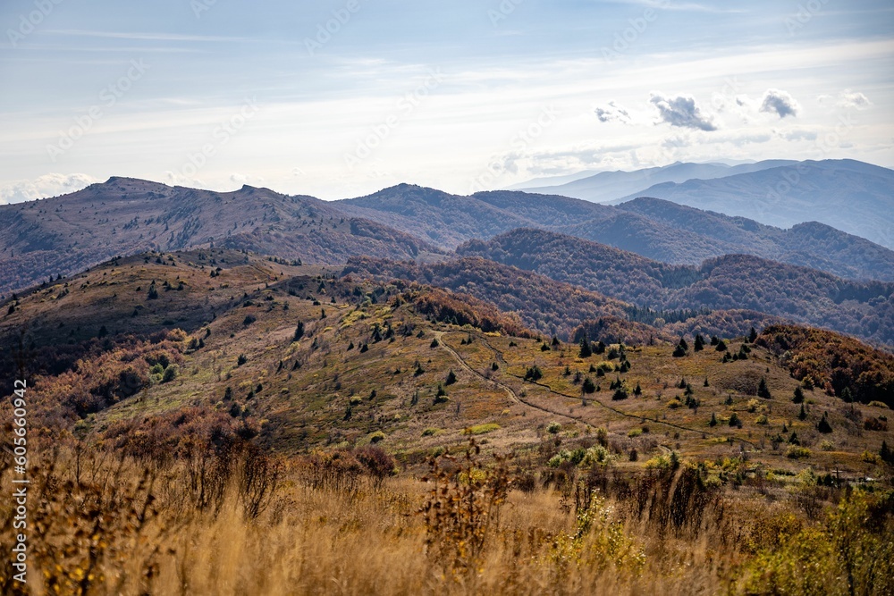 Aerial view of mountain landscape surrounded by dense trees