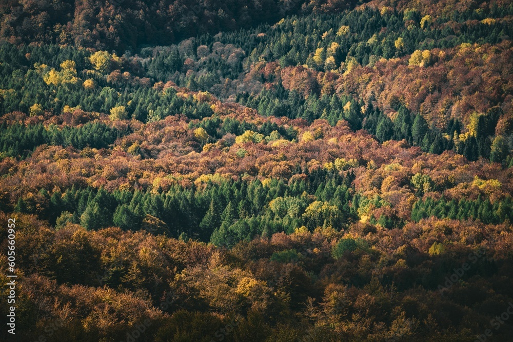 Drone shot of hills covered with autumn forests, cool for background