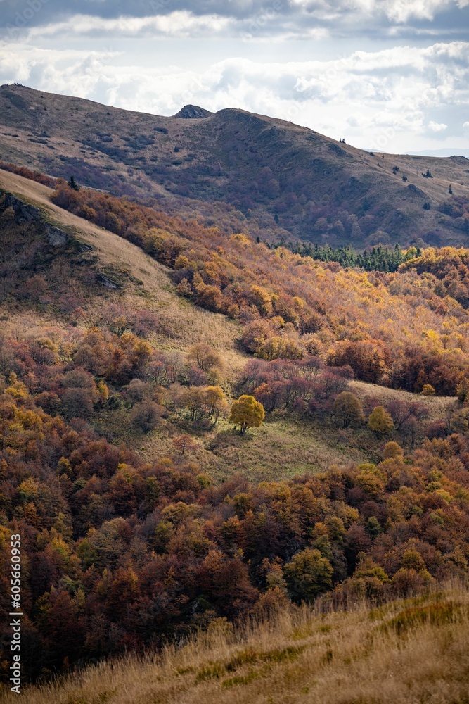 Vertical drone shot of hills covered with autumn forests, cool for background
