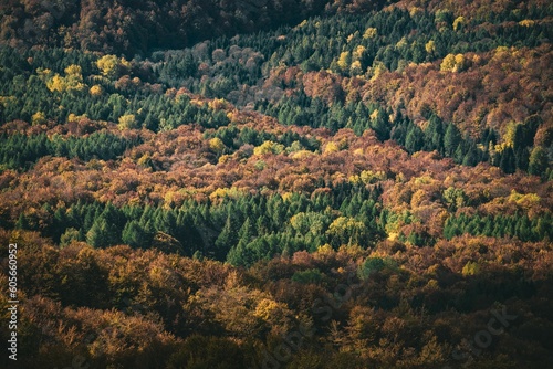 Drone shot of hills covered with autumn forests, cool for background