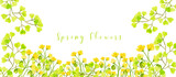 Banner  clover wild watercolor wildflowers.Seamless border made of watercolor wildflowers and leaves, wedding and greeting illustration.