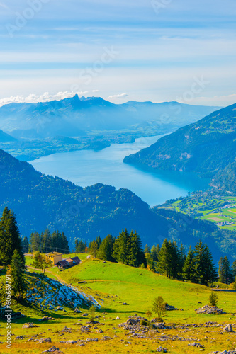 Beautiful Lake Thun view from Schynige Platte trail in Bernese Oberland, Canton of Bern, Switzerland. Popular mountain in the Swiss Alps called Schynige Platte in Switzerland, aerial view. © Kyrenian